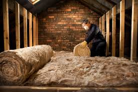 Best Eco-Friendly or Green Insulation Solutions  in On Top Of The World Designated Place, FL